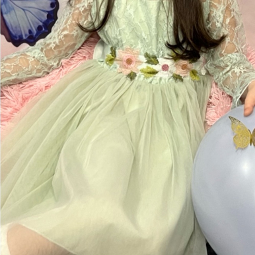 Floral Embroidered Lace Dress